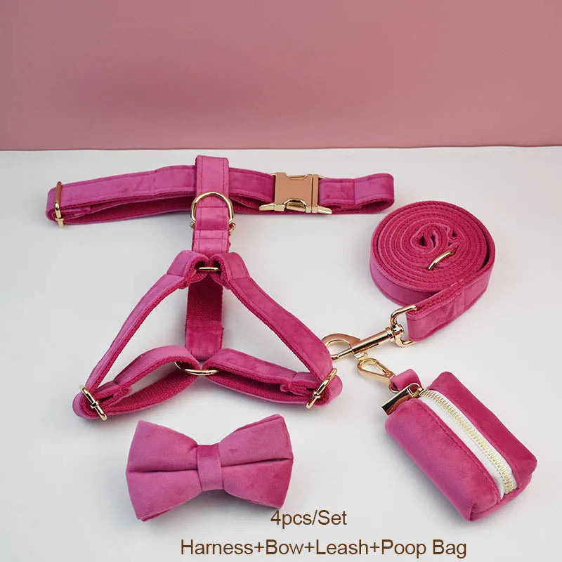 50127340601670|50127340634438|50127340667206|50127340699974|50127340732742