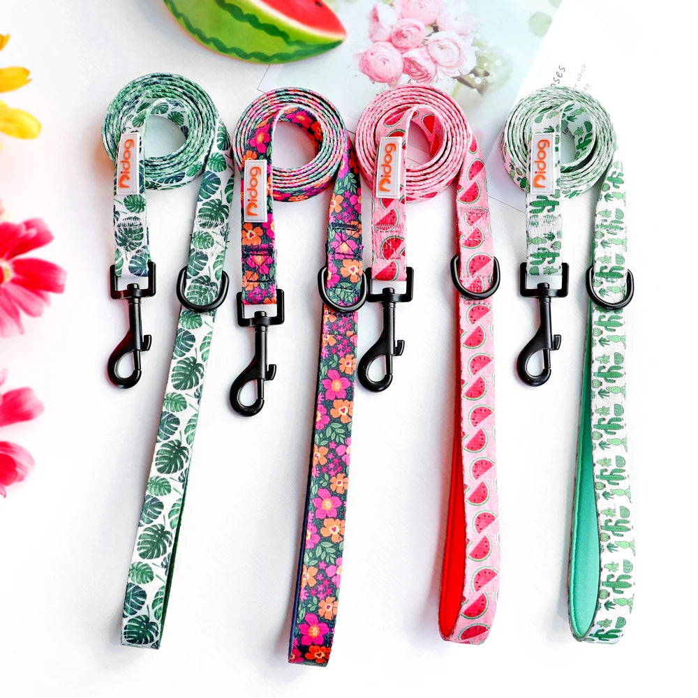 All-in-One Dog Collar Harness Leash Set