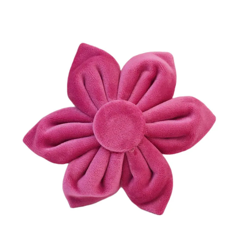 50127339422022|50127339454790|50127339487558|50127339520326|50127339553094