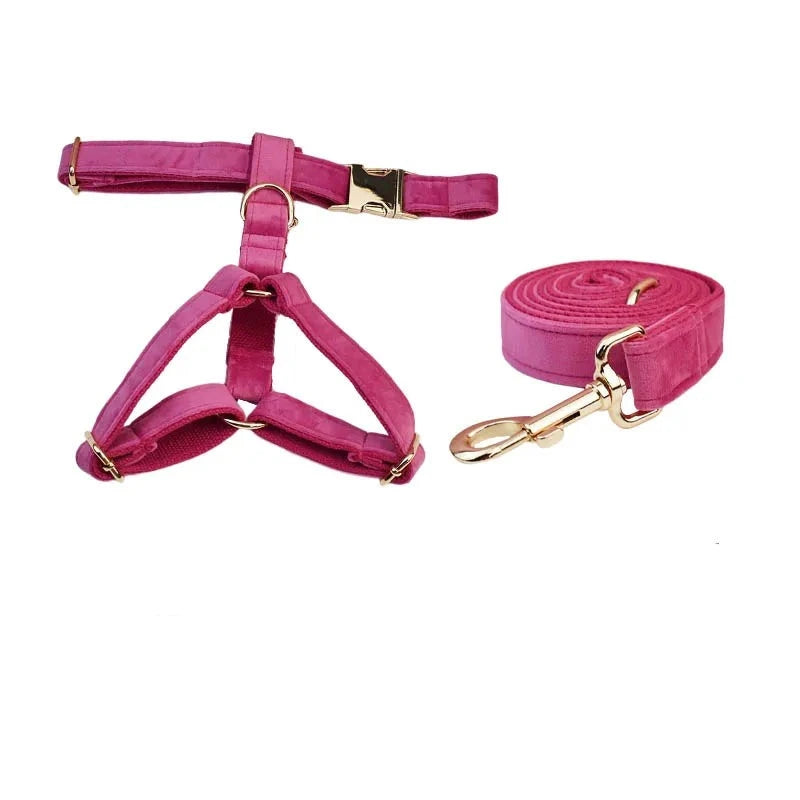 50127338799430|50127338832198|50127338864966|50127338897734|50127338963270