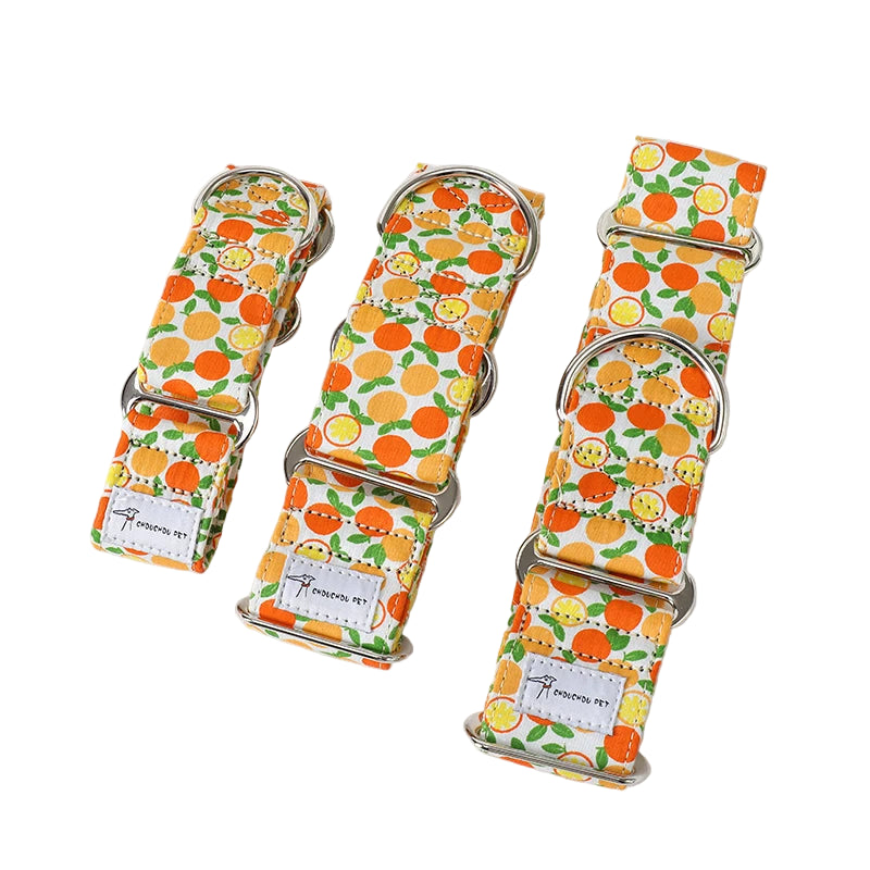 Italian Greyhound & Whippet Martingale Collar