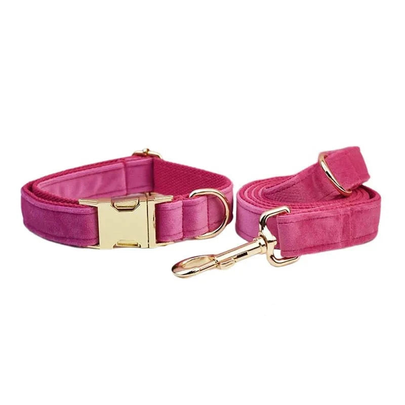 50127339815238|50127339848006|50127339880774|50127339913542|50127339946310