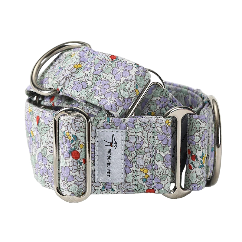 Italian Greyhound & Whippet Martingale Collar