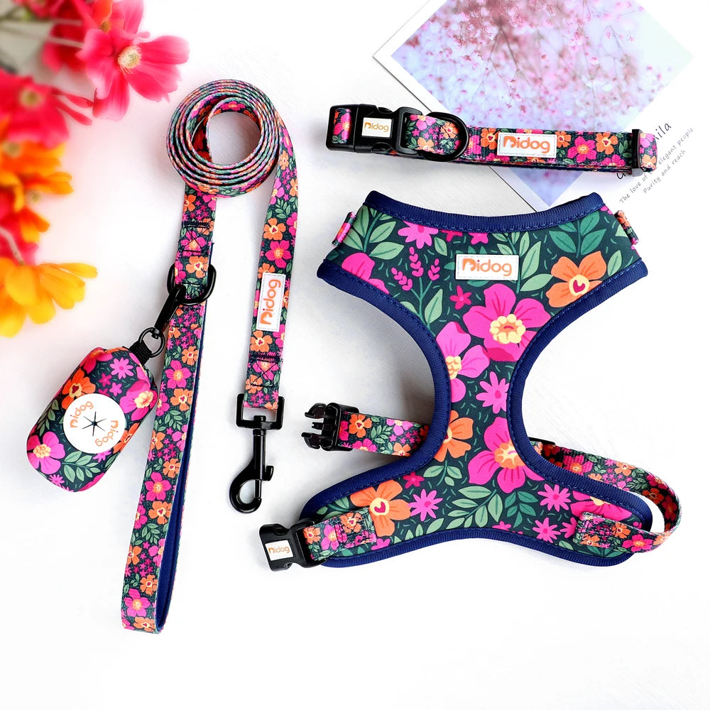 All-in-One Dog Collar Harness Leash Set
