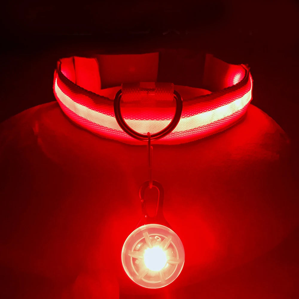 LumiPet Collar