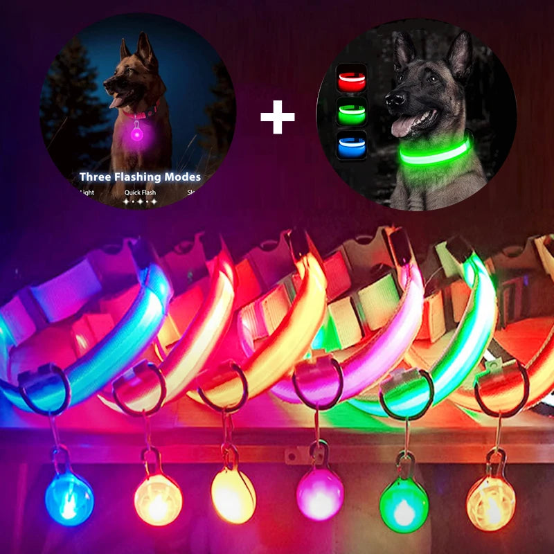 LumiPet Collar