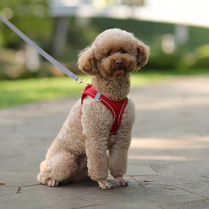 Breathable Harness Set