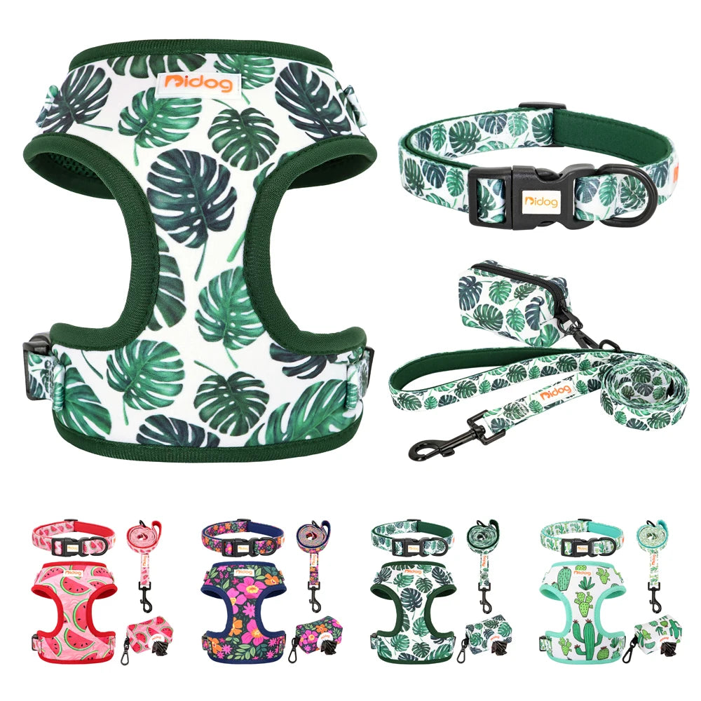 All-in-One Dog Collar Harness Leash Set