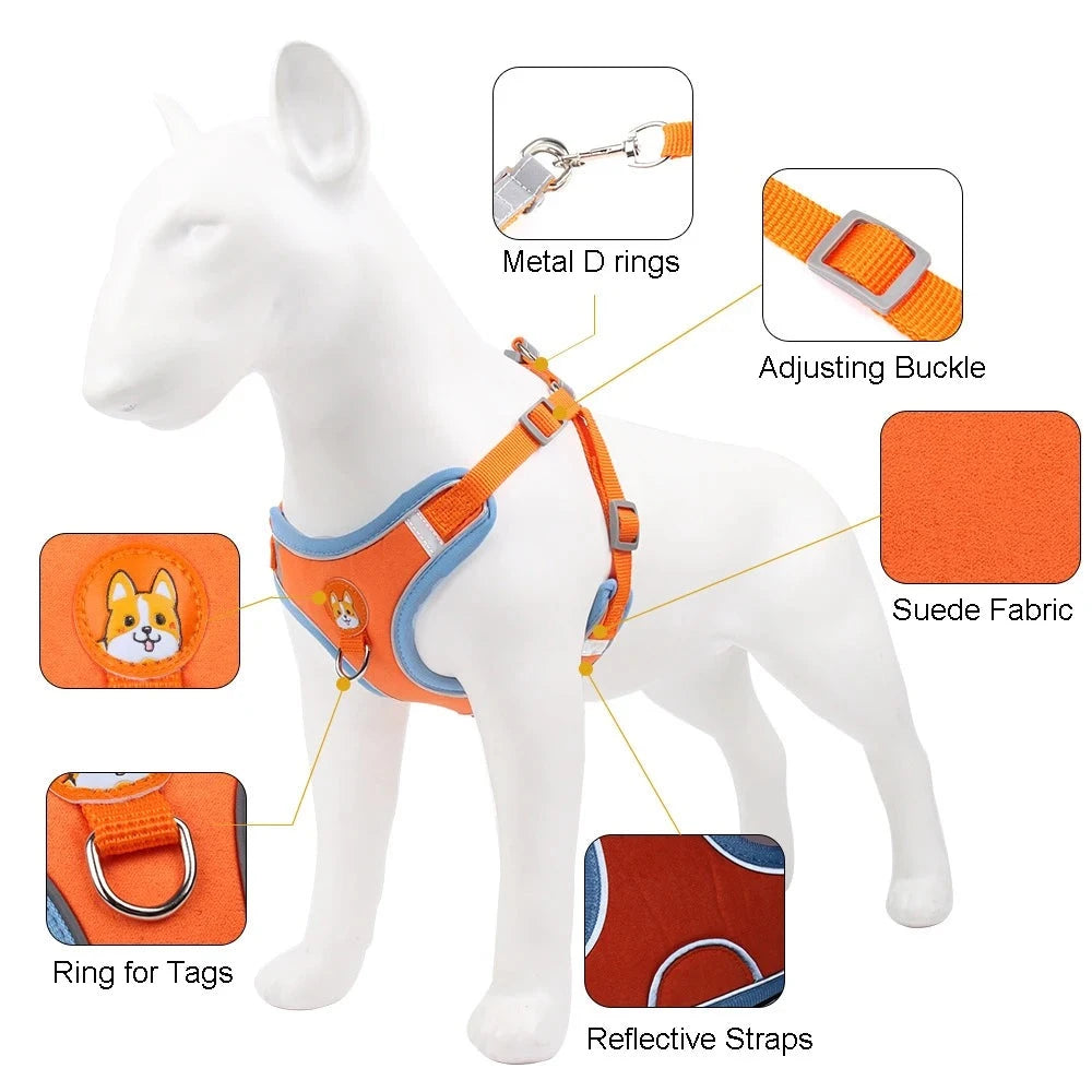 No Pull Harness Set