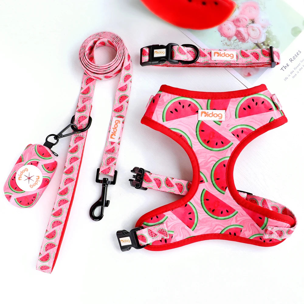 All-in-One Dog Collar Harness Leash Set