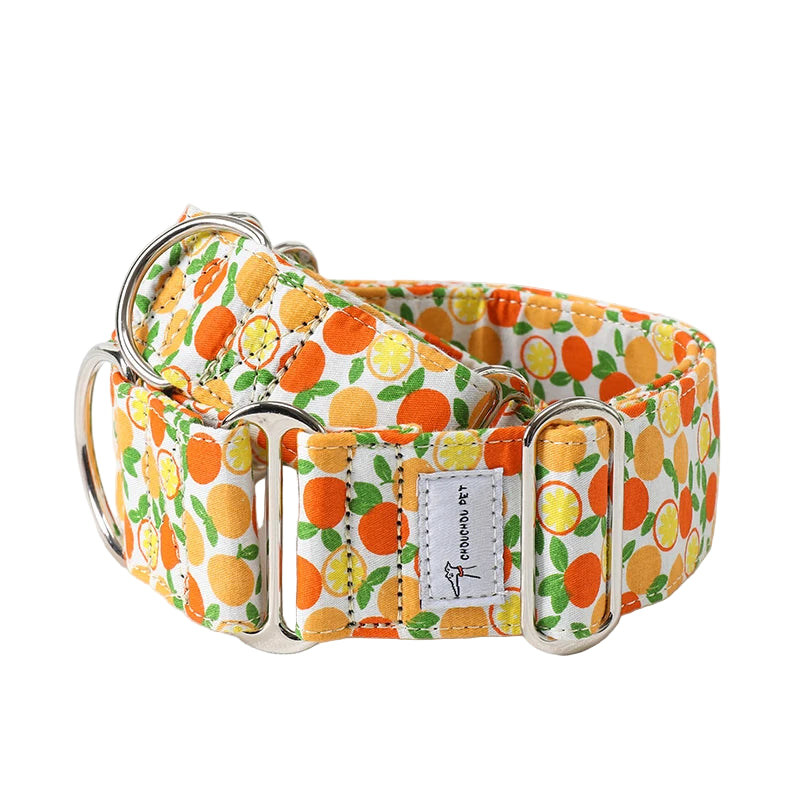 Italian Greyhound & Whippet Martingale Collar