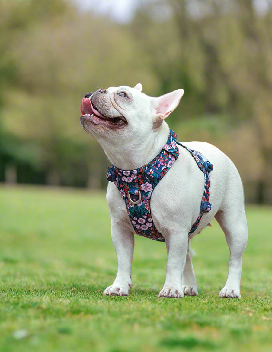ComfortPlus Cotton Harness